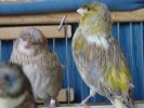 DSC01365.jpg