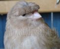 DSC01366.jpg