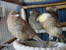 DSC01401.jpg