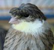 DSC01413.jpg