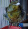 DSC01558.jpg