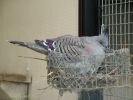 DSC06101.jpg