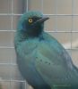 DSC06108.jpg