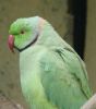 DSC06132.jpg