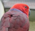 DSC06148.jpg