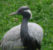 DSC06187.jpg