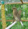 DSC06366.jpg