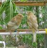 DSC06384.jpg