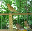 DSC06523.jpg