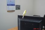 DSC02083.JPG