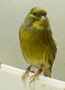 20130115-DSC07229.jpg