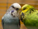 20130115-DSC07304.jpg