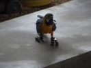 23DSC00739.JPG