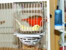 DSC00783.jpg