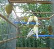 DSC04098.JPG