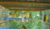 DSC04110.JPG