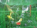 DSC04111.JPG