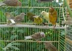 DSC04113.JPG