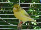 DSC04204.jpg