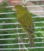 DSC04207.jpg