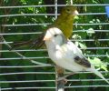 DSC04209.jpg