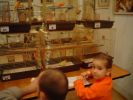 DSC05223.JPG