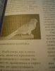 DSC05465.JPG