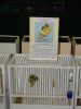 DSC05721.jpg