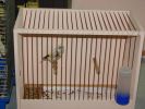 DSC05726.jpg