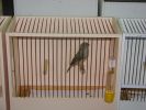 DSC05728.jpg