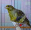 DSC05733.jpg