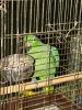 DSC05737.jpg