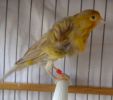 DSC05767.jpg