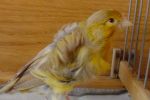 DSC05770.jpg