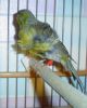 DSC05819.jpg