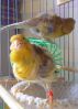 DSC05945.jpg