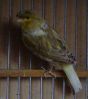 DSC06020.jpg