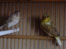 DSC06024.jpg