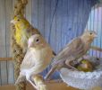 DSC06125.jpg
