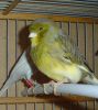 DSC06158.jpg