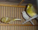 DSC06161.jpg