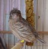 DSC06187.jpg