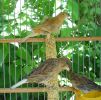 DSC06530.jpg