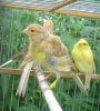 DSC06742.jpg