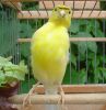 DSC06783.jpg