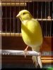 DSC07229.jpg