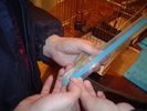 Файл=DSC07700.jpg
Объём=42КБ
Размеры=533x400
Дата=Окт 05, 2006 DSC07700.jpg