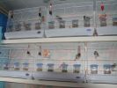 DSC09575m.jpg
