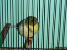 DSCN2571.JPG