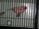 DSCN2580.JPG